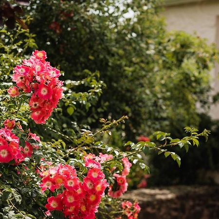 Stoodleigh Court Coach House Bed and Breakfast Tiverton  Buitenkant foto