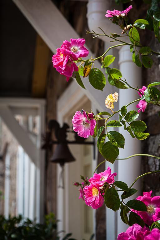 Stoodleigh Court Coach House Bed and Breakfast Tiverton  Buitenkant foto